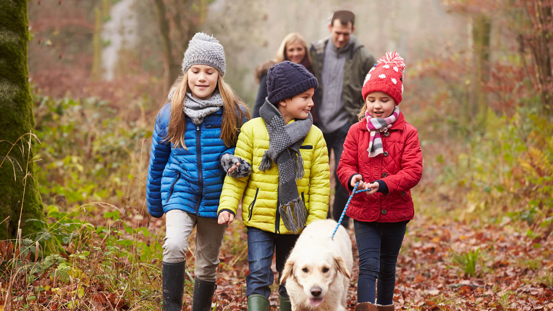 Pet Friendly Room Pet Friendly Hotel Cork Castlemartyr Resort