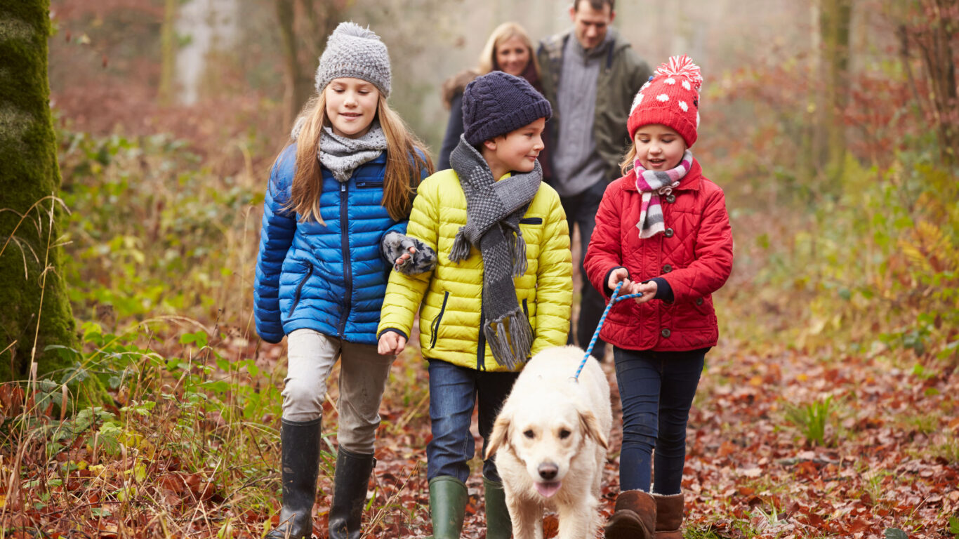 Family Walking Dog Through Winter Woodland
