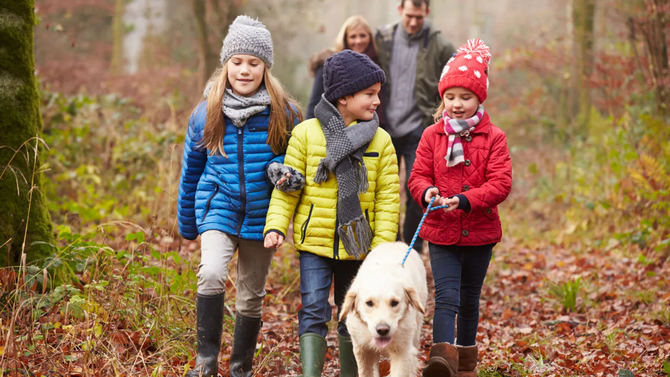 Family Walking Dog Through Winter Woodland