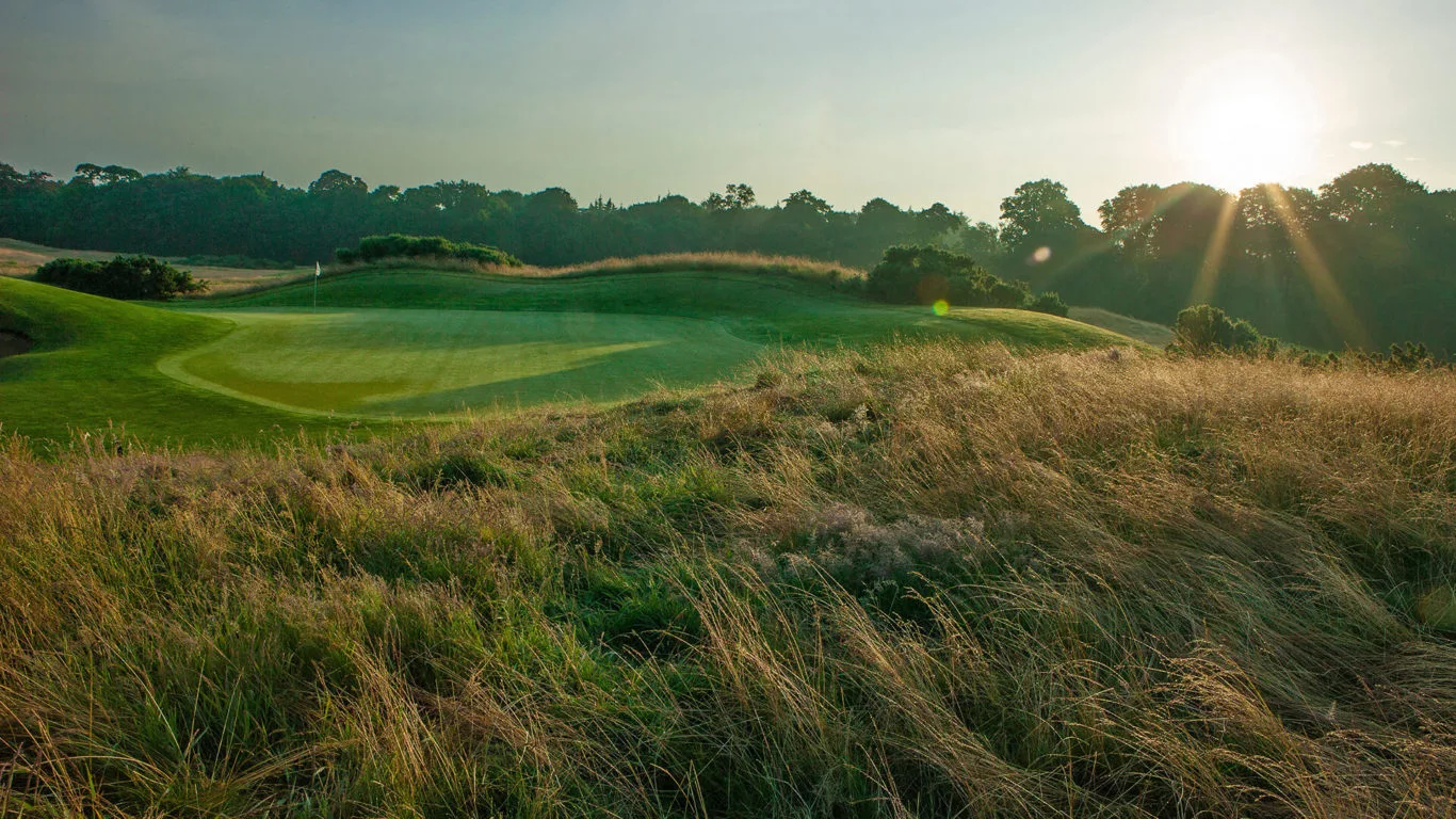 CMR Golf Morning Sun Over Trees