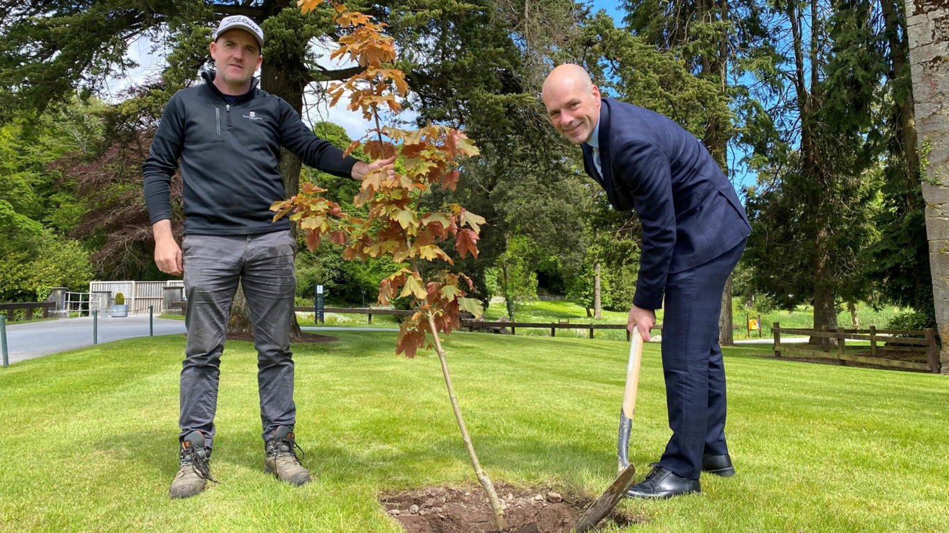 CMR-One-Tree-Planted-Web