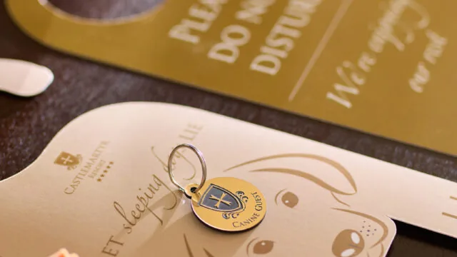 Pet Room Detail 2 Full Res