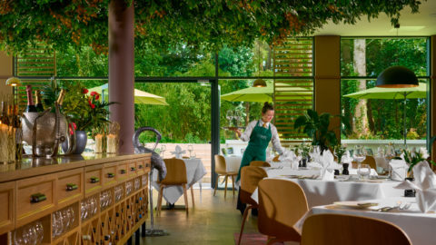 Group Dining in Canopy Restaurant