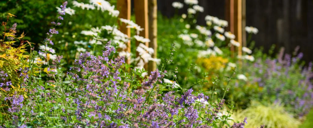 Canopy Restaurant Terrace