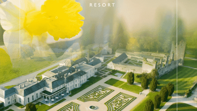 Spring Hotel Offers