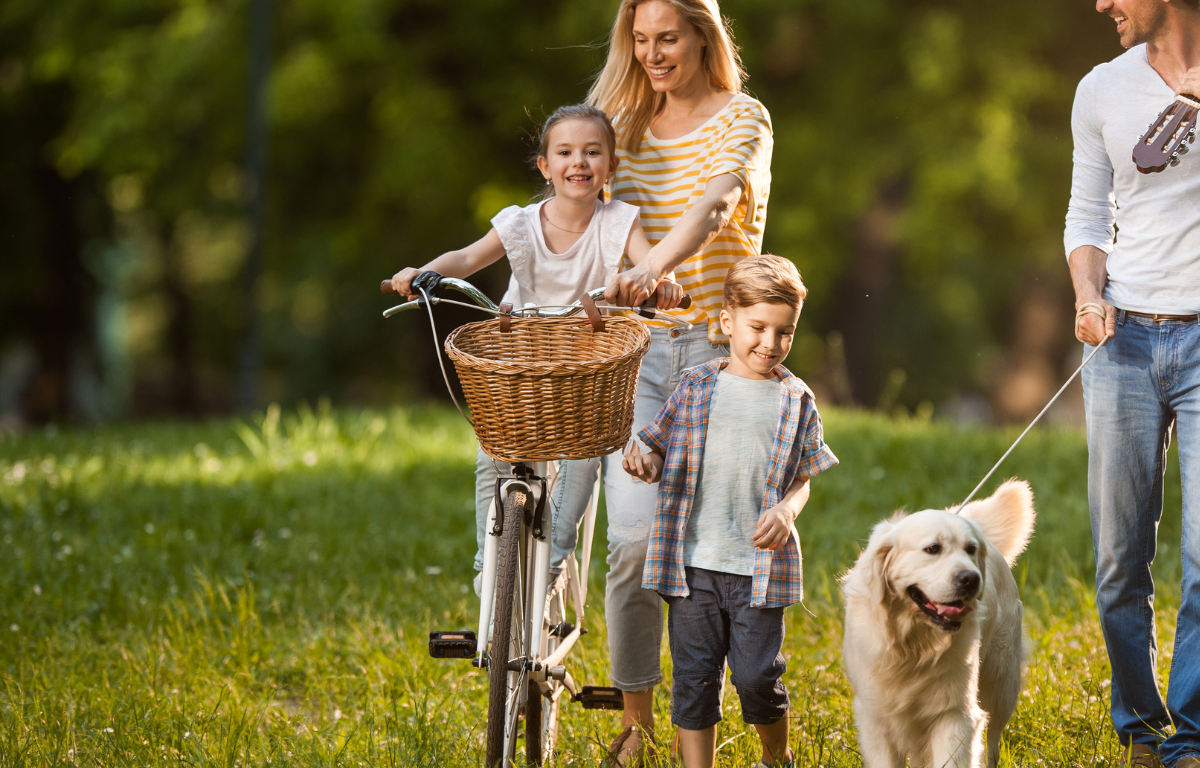 Happy family with child and dog stroll through sunny park, enjoying leisure and outdoor activities, surrounded by greenery.