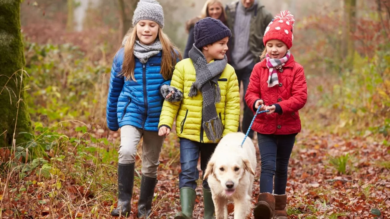 CRM Autumn 1920×1500