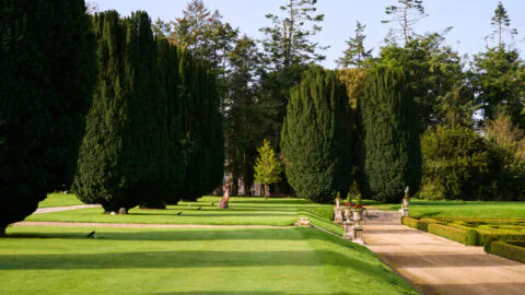 Stunning hotel garden with manicured lawns, tall trees, and elegant stone path inviting guests for a tranquil walk.