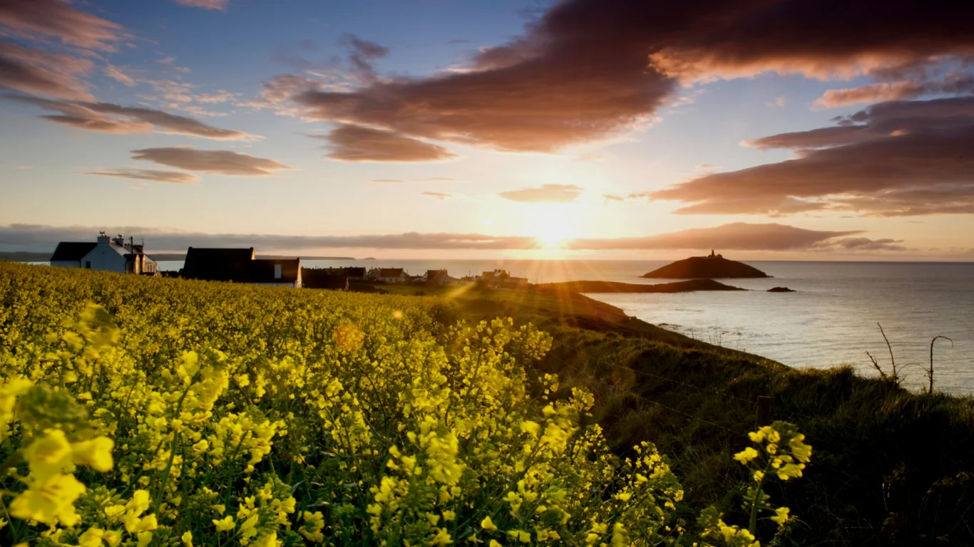 Ballycotton cliff walk