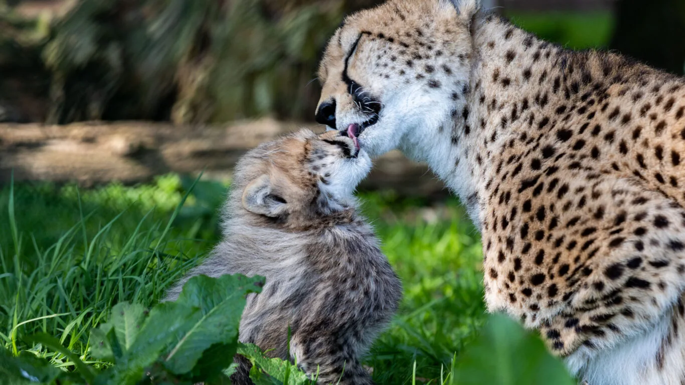 DKANE 19th April 2023REPRO FREEPic Darragh Kane