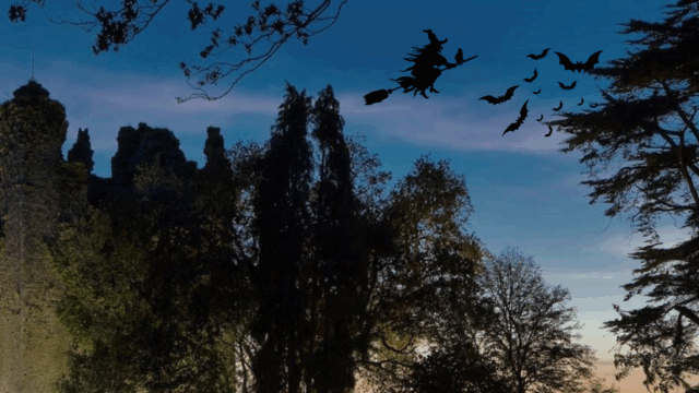 Silhouettes of trees and a castle at dusk with a witch on a broomstick and bats flying in the sky.