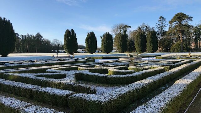 A formal garden with neatly trimmed hedges dusted with snow, under a clear blue sky, with tall trees in the background.