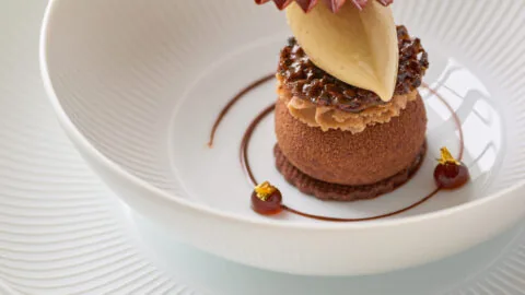 A plated dessert with a round chocolate base, topped with a scoop of ice cream and a decorative chocolate fan, garnished with sauce and small dollops on a white dish.