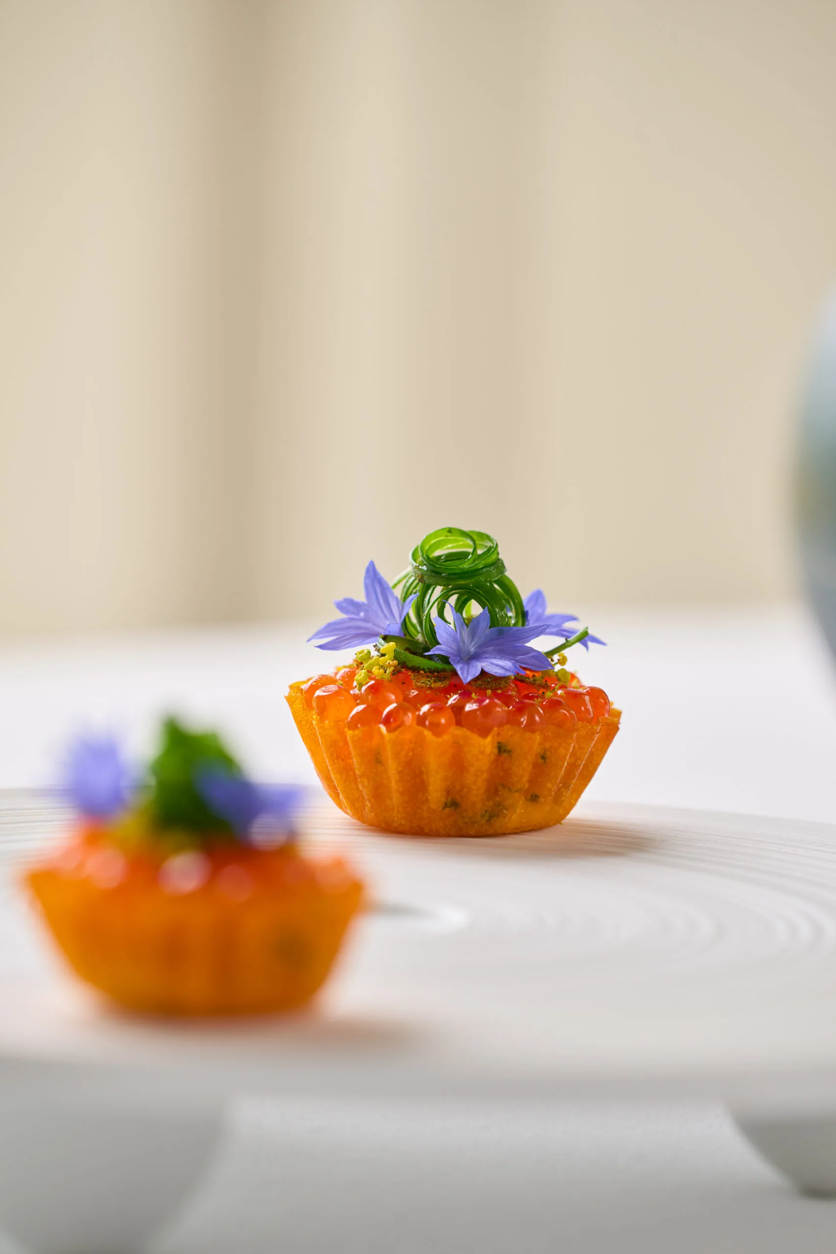 The Terre Experience