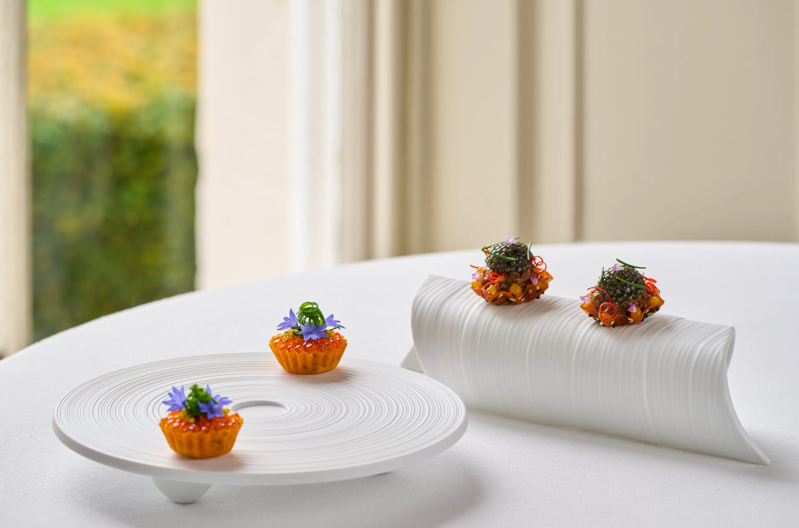 The Terre Experience