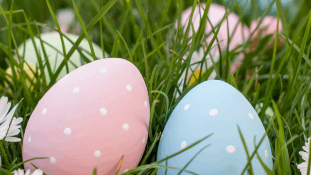 Pink and blue polka-dotted Easter eggs are nestled in green grass among white daisies.