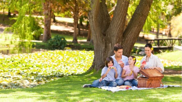 A family of four sits on a blanket having a picnic in a park near a pond, eating watermelon under the shade of trees.
