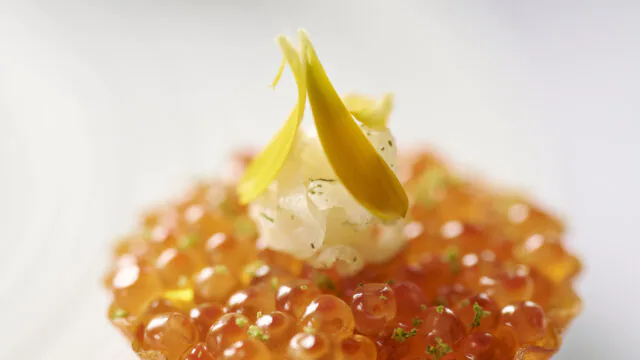 Luxurious appetiser with salmon roe and delicate garnish, showcasing fine dining elegance at the hotel's gourmet restaurant.