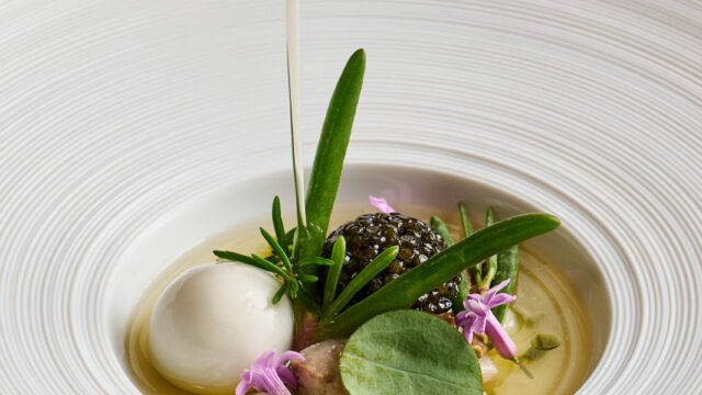 Elegant gourmet dish with herbs and sauce in luxurious hotel restaurant, perfect for fine dining experience.
